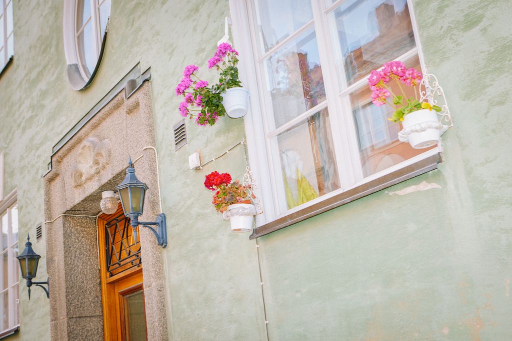 Blommor fönster