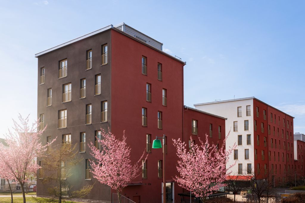 körsbärsträd flerbostadshus