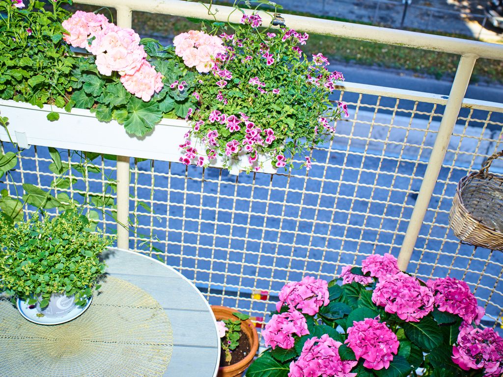 balkong med blommor