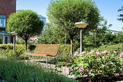 Bild av trädgården