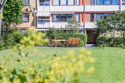 Bild av trädgården