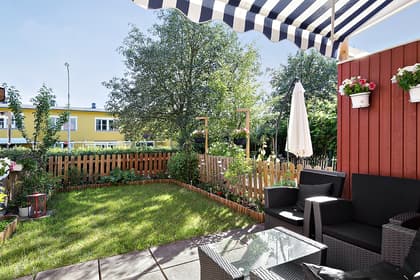 Bild av trädgården