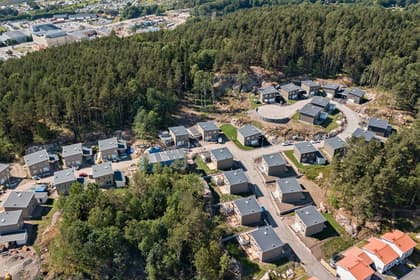 Bild av trädgården