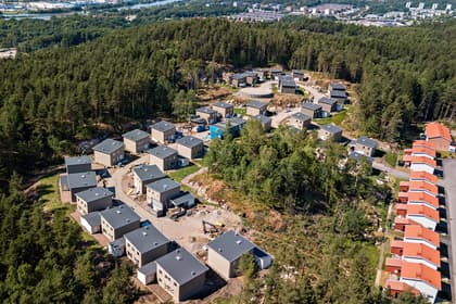 Bild av trädgården