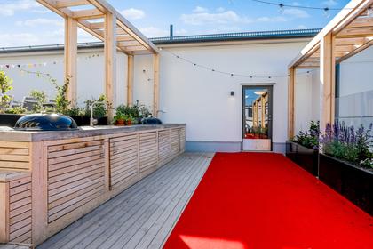 Bild av trädgården