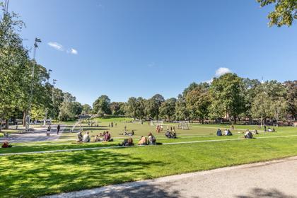 Bild av närområdet