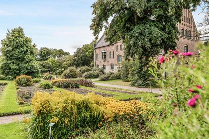 Bild av trädgården