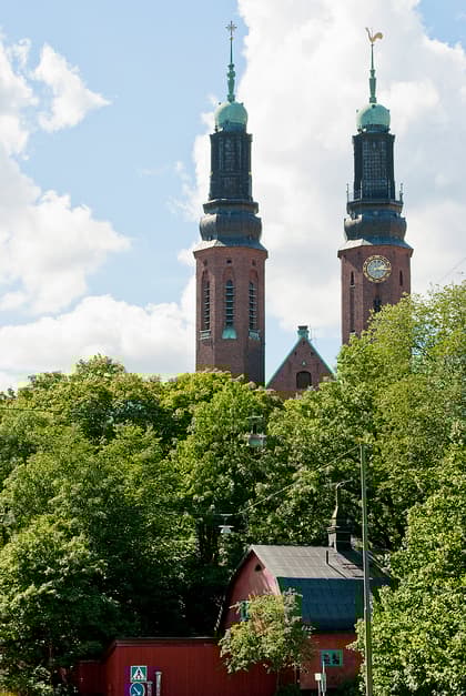 Bild av trädgården