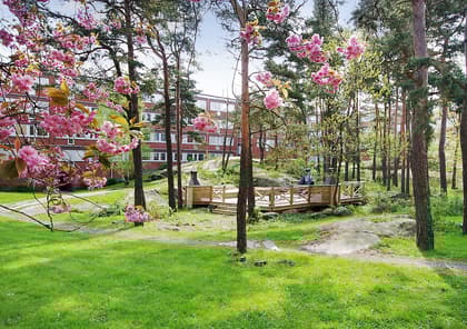 Bild av trädgården