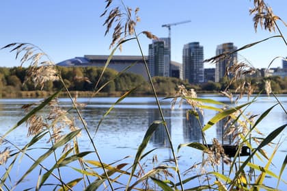 Bild av närområdet