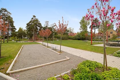 Bild av trädgården