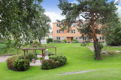 Bild av trädgården