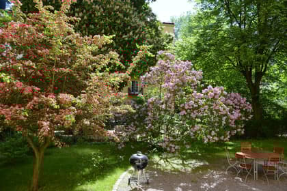 Dannemoragatan 14, Vasastan