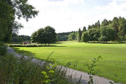 Bild av trädgården