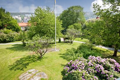 Bild av trädgården
