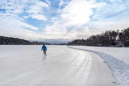Bild av närområdet
