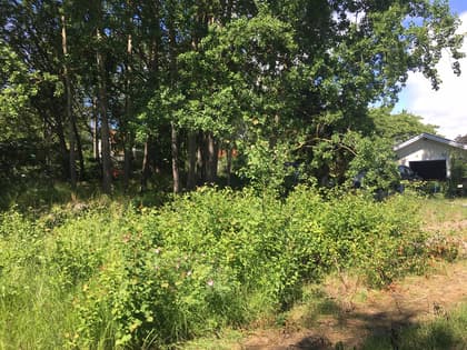 Hallstavägen 43, Adelsö