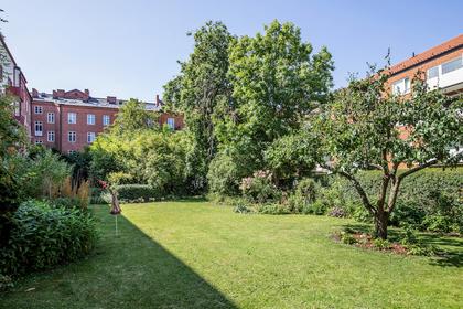 Bild av trädgården