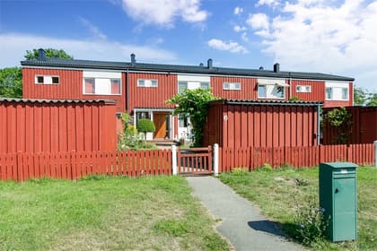 Bild av trädgården