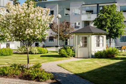 Bild av trädgården