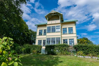 Bild av trädgården