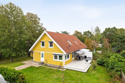 Bild av trädgården