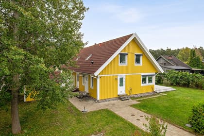 Bild av trädgården