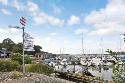 Bild av trädgården