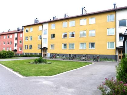 Djurgårdsvägen 15B, Bågen