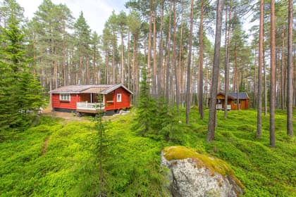 Bild av trädgården