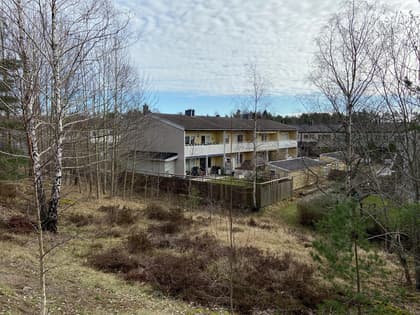 Bild av trädgården