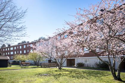 Musikvägen 8, Ruddalen