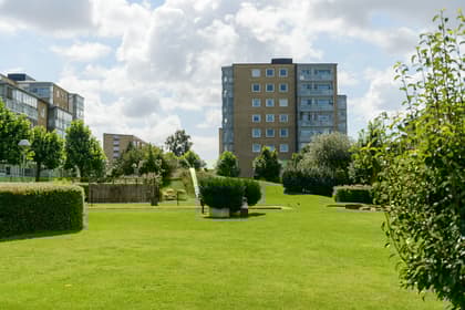 Bild av trädgården