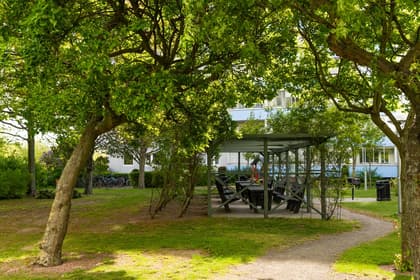 Bild av trädgården