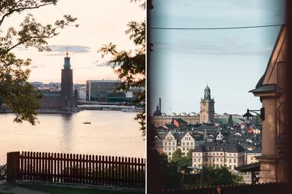 Bild av trädgården