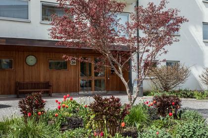Entré