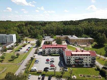 Bild av trädgården