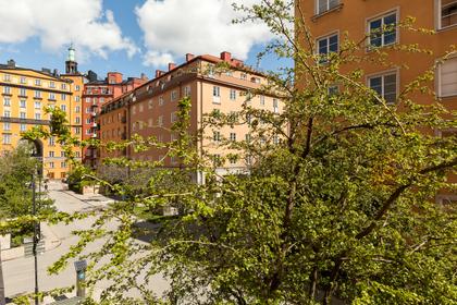 Bild av trädgården