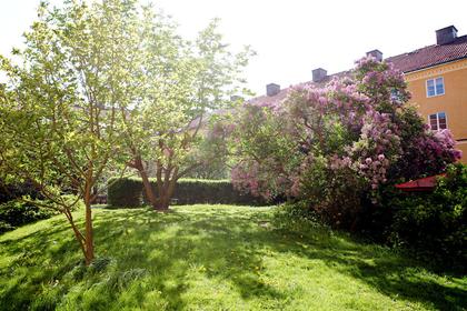 Innergård