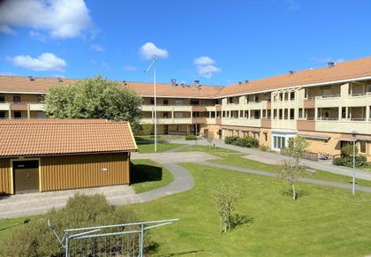 Bild av trädgården