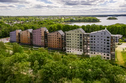 Bild av trädgården
