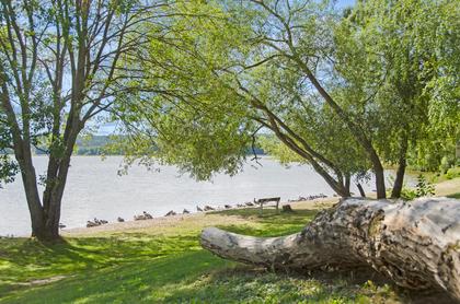 Bild av trädgården