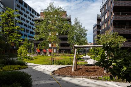 Bild av trädgården
