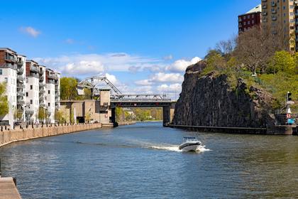 Bild av trädgården