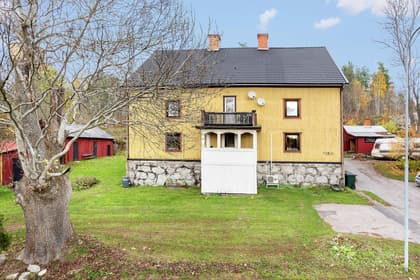 Bild av trädgården