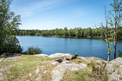 Bild av närområdet