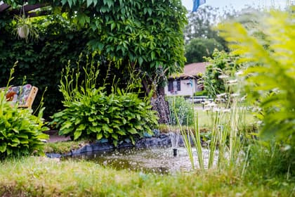 Bild av trädgården