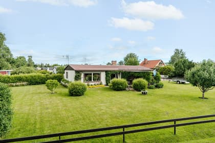 Bild av trädgården