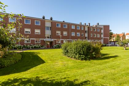 Bild av trädgården