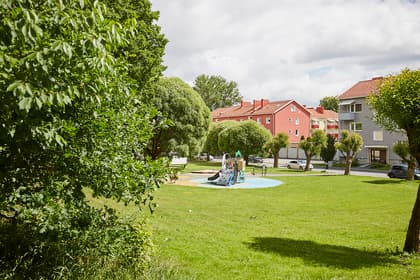 Bild av trädgården